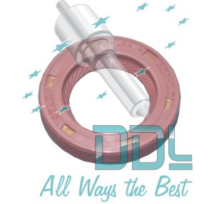 DELPHI COMMON RAIL DRVE SEAL