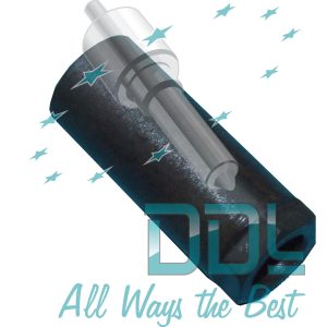 DELPHI C/RAIL CAP NUT RENAULT