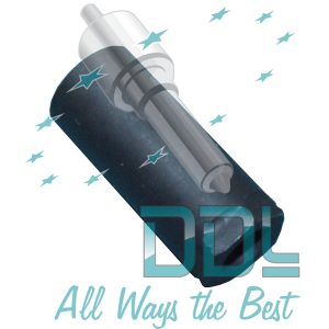 DELPHI C/RAIL CAP NUT FORD