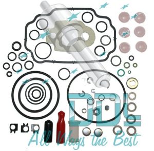 OVERHAUL KIT DP210  (SPACO)