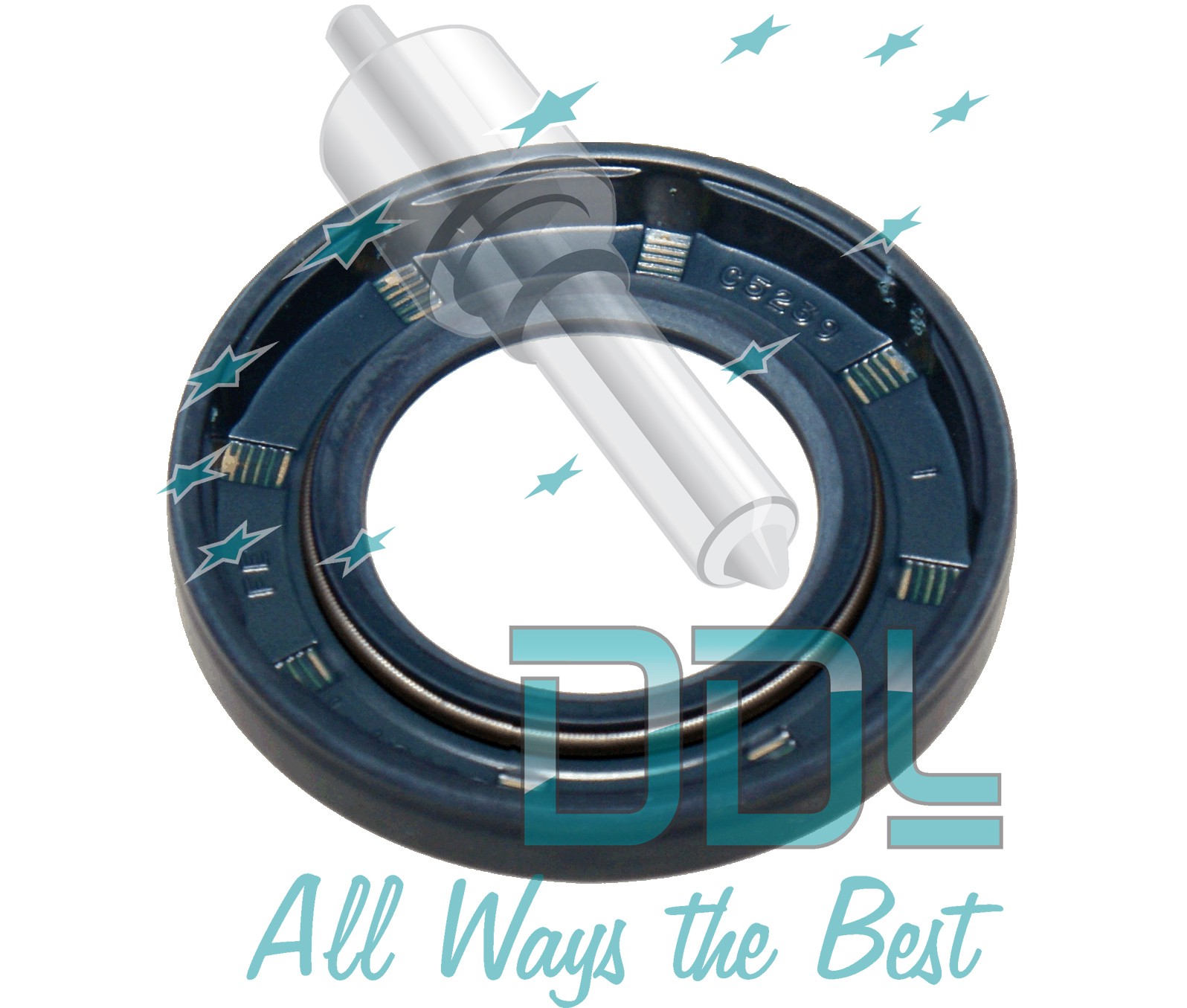 OIL SEAL DPS L/R & TRANS