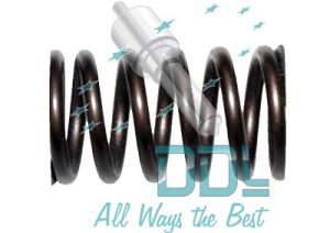 7032-16 Spaco Spring