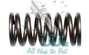 SPRING-SINGLE CYL.PUMP