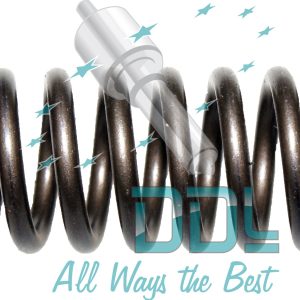 SPRING-SINGLE CYL.PUMP