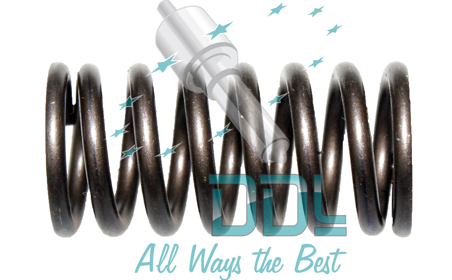 SPRING-SINGLE CYL.PUMP