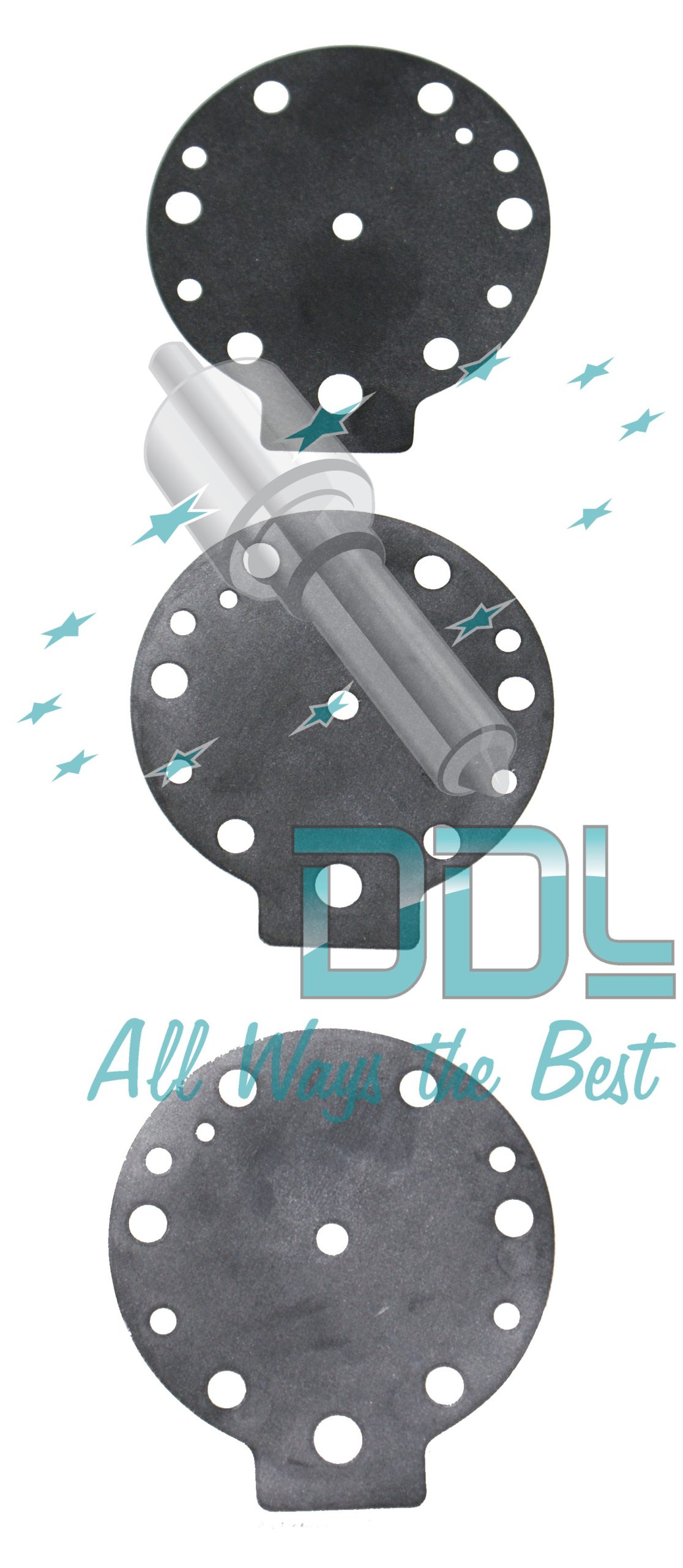 DIAPHRAGM (PK 3) (SPACO)