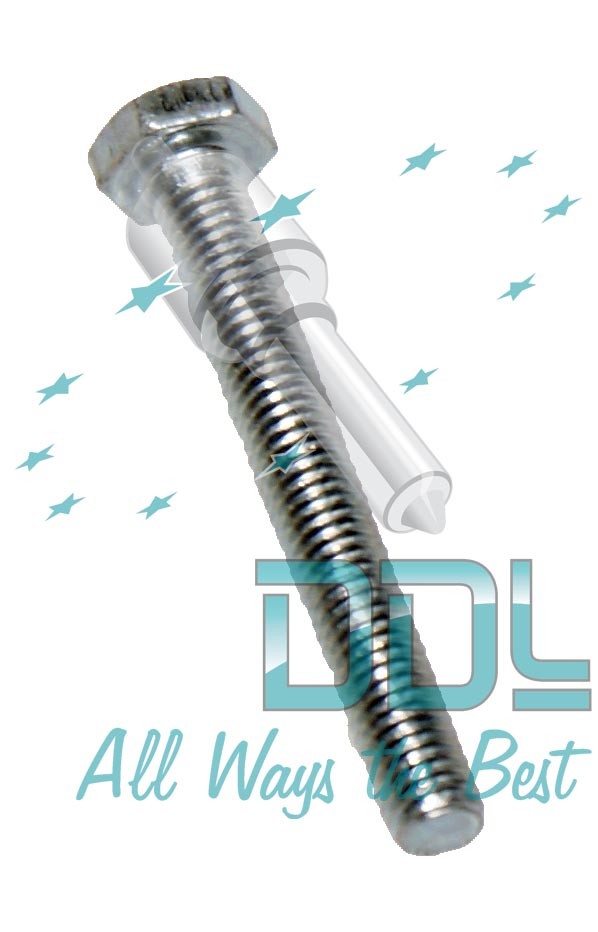 SCREW MAX. FUEL x10 (SPACO)