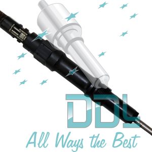 Common Rail Delphi Injector R00202Z