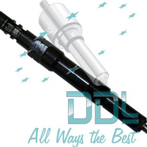 Common Rail Delphi Injector R00504Z