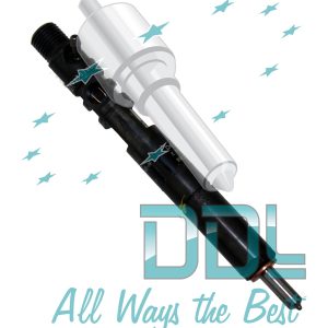 Common Rail Delphi Injector R02201Z