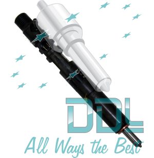 Common Rail Delphi Injector R02201Z