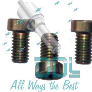 CHEESE HEAD SCREWmp  x5