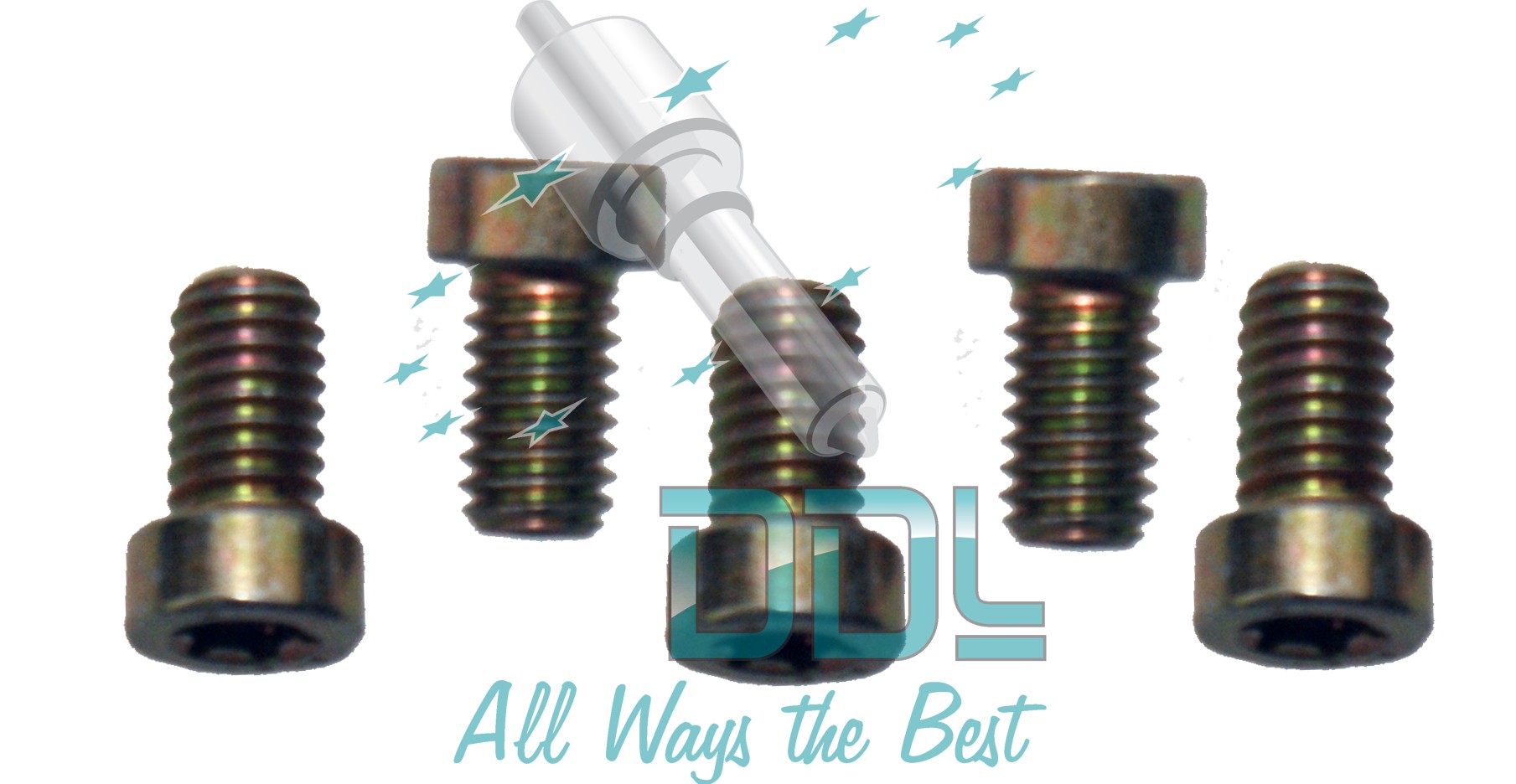 CHEESE HEAD SCREWmp x5