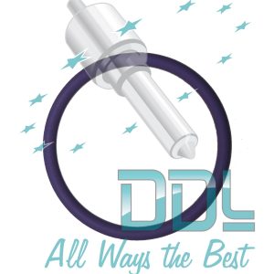 Seal ring E.U.Injector