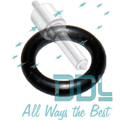 THROTTLE SHAFT O RING x10