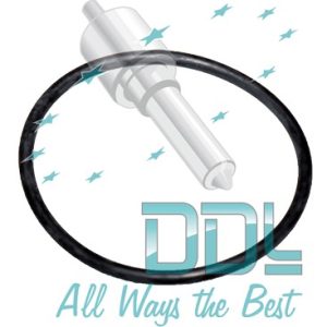 Seal Ring (SPACO) x10