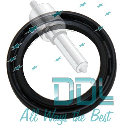 DPC OIL SEAL (SPACO)