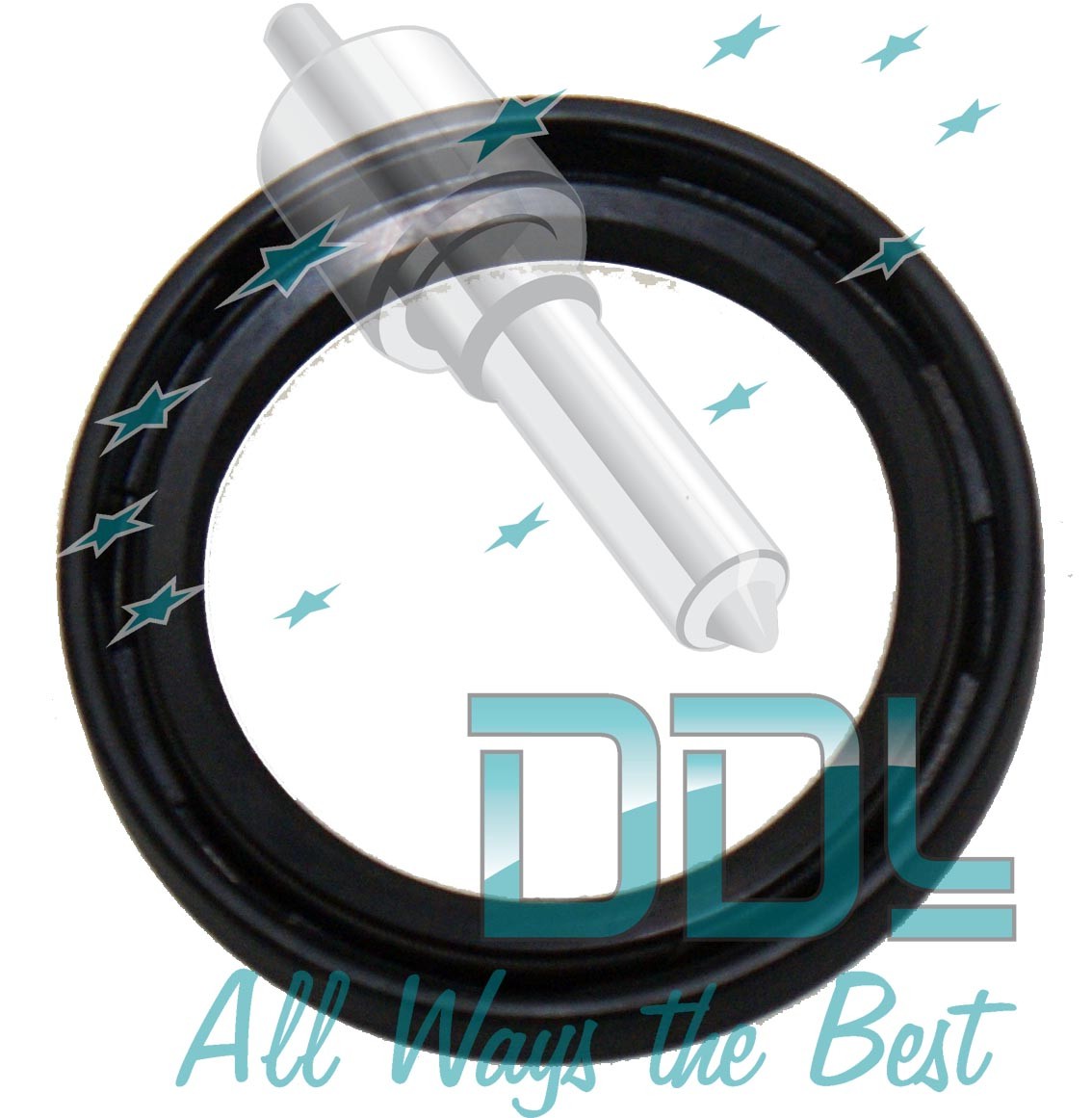 OIL SEAL DPC