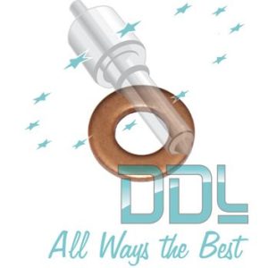 27D150 Common Rail Washer Mercedes Bosch