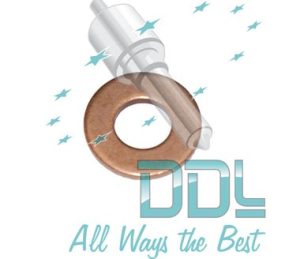 27D153 Common Rail Washer Peugeot Bosch