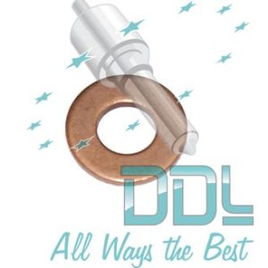 27D153 Common Rail Washer Peugeot Bosch