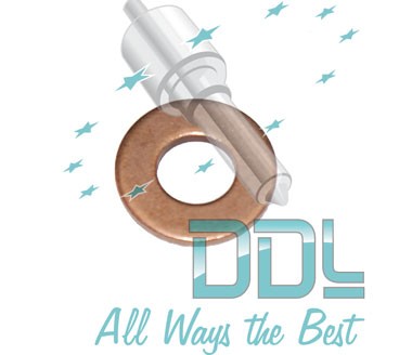 27D153 Common Rail Washer Peugeot Bosch