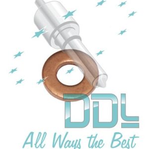 27D154 Common Rail Washer Peugeot Siemens