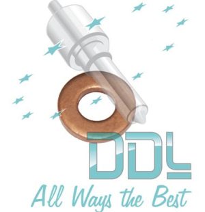 27D154 Common Rail Washer Peugeot Siemens