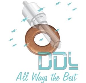 27D158 Common Rail Washer Citroen/Ford/Renault