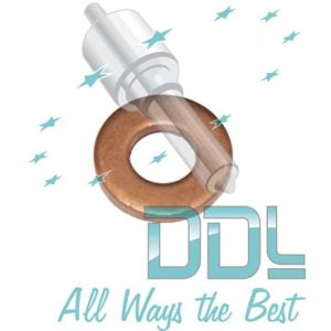 27D158 Common Rail Washer Citroen/Ford/Renault