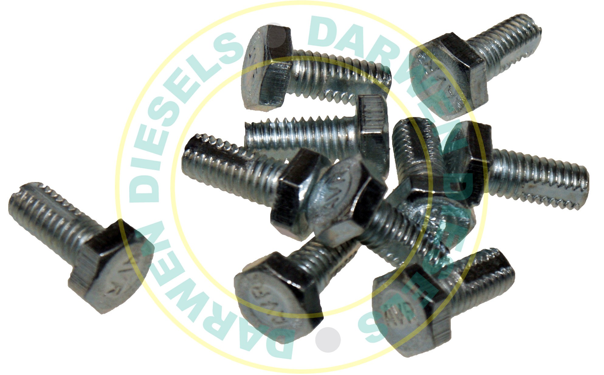 BLEED SCREW 6mmX1mm X 10