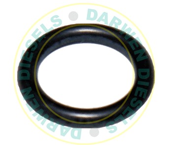 SEALING RING FP/K    X10