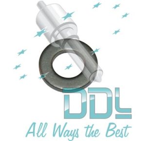 27D160 Common Rail Washer Ford Delphi