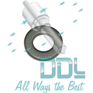 27D160 Common Rail Washer Ford Delphi