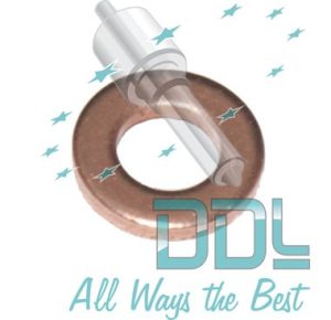 27D163 Common Rail Washer Kia/ Hyundai Delphi