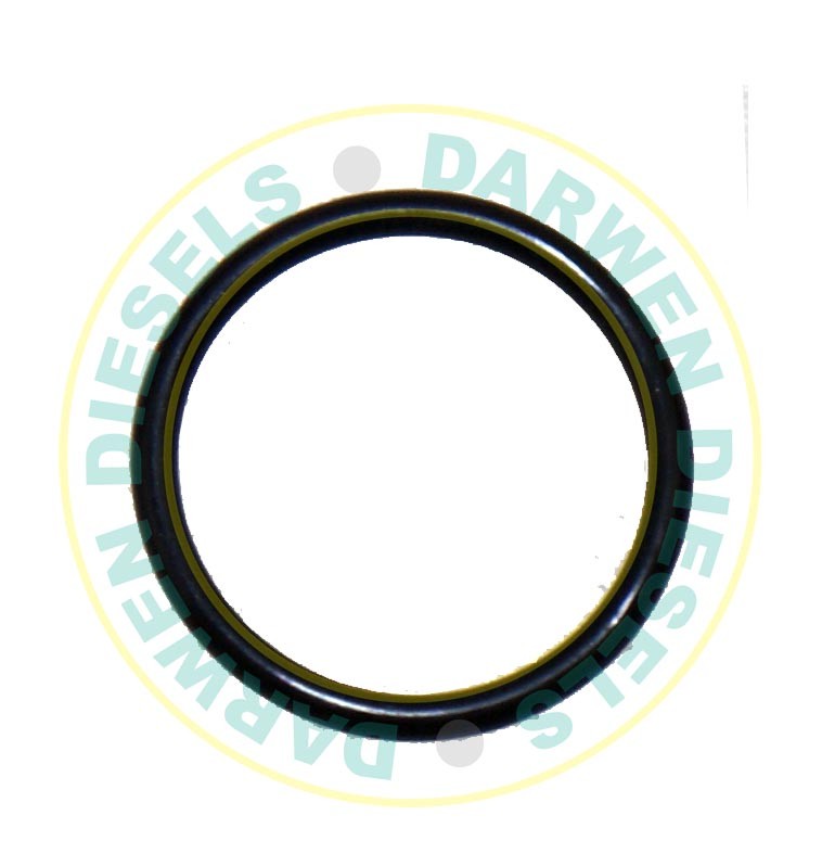 9442610273 Delivery Valve Holder O-Ring
