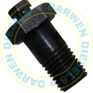 BANJO BOLT WITH BLEED