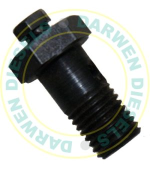 BANJO BOLT WITH BLEED