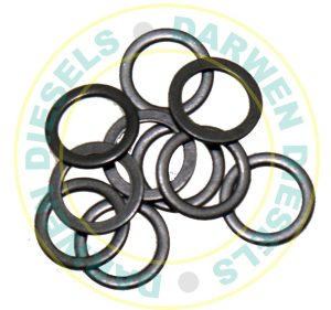 9007-391 DPC Delivery Valve Washer x10