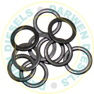 9007-391 DPC Delivery Valve Washer x10