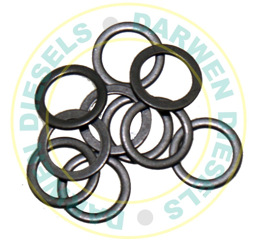 9007-391 DPC Delivery Valve Washer x10