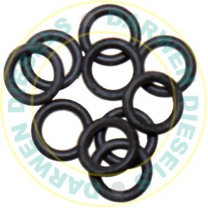 O RING -PK 10