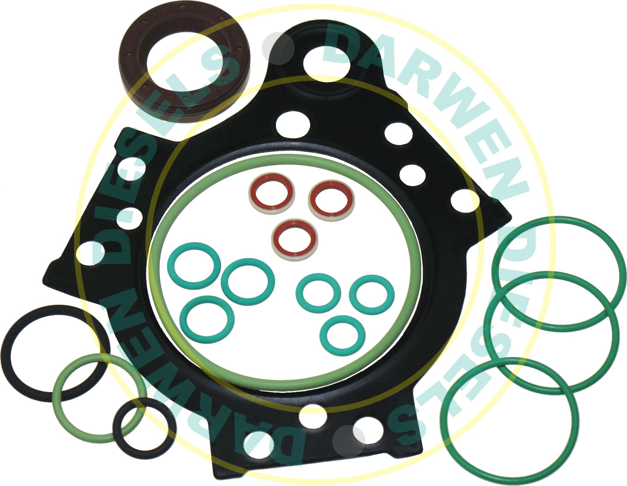 Common Rail Siemens Pump Repair Kit 5WS40157