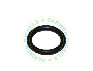 5855-30FZ Non Genuine Sealing Ring