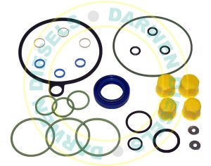 Common Rail Siemens Pump Repair Kit 5WS40296