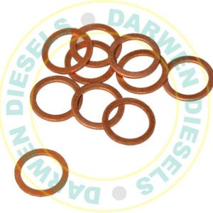 7185-815D Genuine Washer