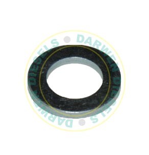 2916011015 Genuine Washer