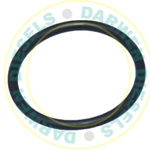 2410210004 Non Genuine Seal