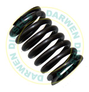25883 Non Genuine Simms Element Spring