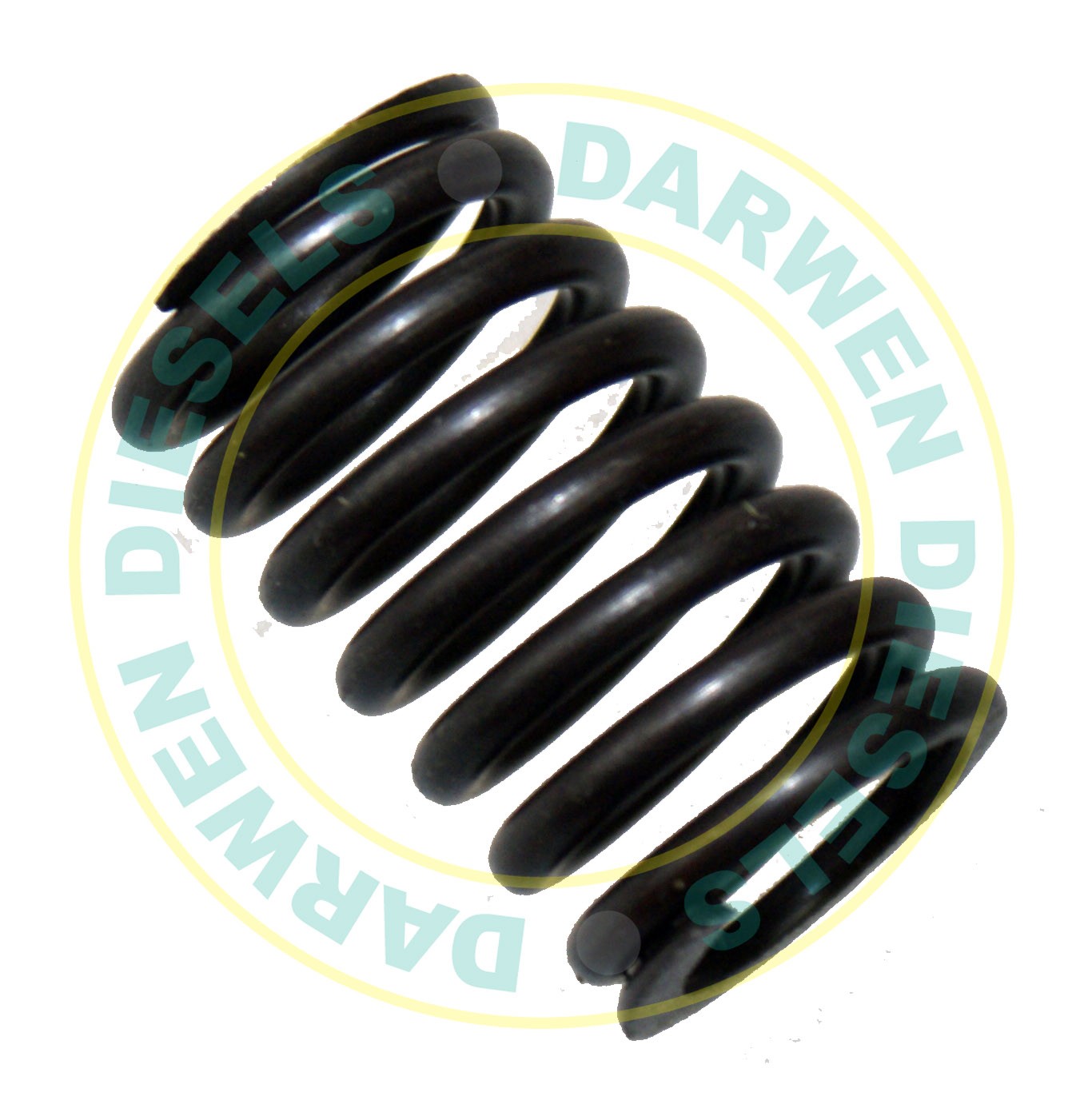 25883 Non Genuine Simms Element Spring